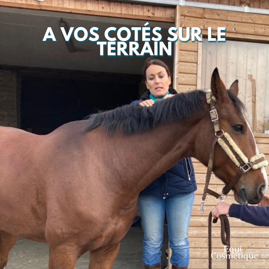 Application d’un soin Equi Cosmétique sur la peau d’un cheval