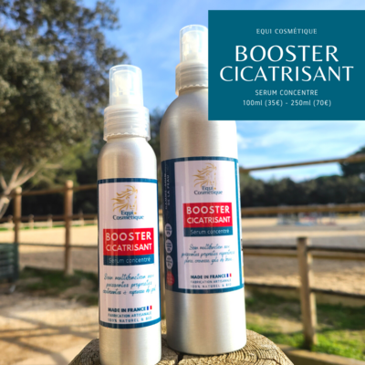 BOOSTER CICATRISANT