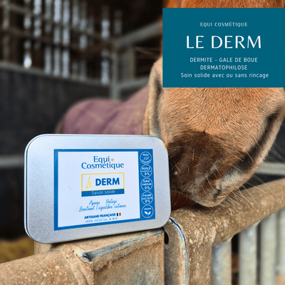 TRAITEMENT NATUREL - SHAMPOING DERMITE GALE DE BOUE - DERMATOPHILOSE CHEVAL  EQUI COSMETIQUE