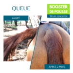 BOOSTER DE POUSSE - SOIN NATUREL ACCELERE LA  POUSSE DES CRINS DE LA QUEUE - EQUI COSMETIQUE