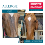 allergie cheval, soin booster cicatrisant Equi Cosmétique