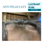 PELLICULES CHEVAL CRINIERE - LUSTRANT NATUREL EQUI COSMETIQUE