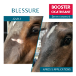 Blessures cheval - soins cicatrisant Equi Cosmétique