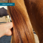 Crins brillants - démêlant Glitter Equi Cosmétique