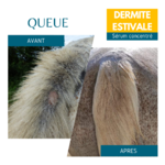 démangeaisons queue cheval, sérum dermite estivale Equi Cosmétique