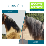 Crinière longue cheval -Booster de Pousse, Equi Cosmétique