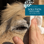 SOLUTION NETTOYANT NATUREL BIO CHIEN CHAT CHEVALUE