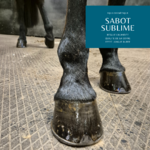 PRODUIT DE SOIN NATUREL SABOT GRIS CHEVAL EQUI COSMETIQUE