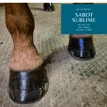 PRODUIT DE SOIN NATUREL SABOT NOIR CHEVAL EQUI COSMETIQUE