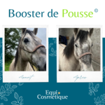 Inkane - Intuitive.photographe.equin