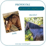 Lotion apaisante traitement dermite estivale piqures crins
