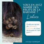 PRODUIT DEMELANT NATUREL CHEVAL - SOIN CRIN CHEVAUX - CHARDON - BARDANE - EQUI COSMETIQUE