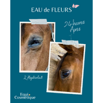 Lotion yeux cheval - Solution naturelle oeil gonflé chevaux - Hydrolat Equi Cosmétique