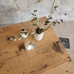 ancienne grande table basse en sapin 20250808_141229