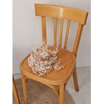 Lot de 2 chaises bistrot vintage Baumann en bois courbé20260903_152157