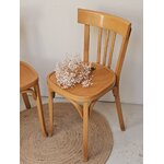 Lot de 2 chaises bistrot vintage Baumann en bois courbé20260903_152130