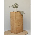 Ancienne caisse à pommes étagère en bois brut20260922_162528