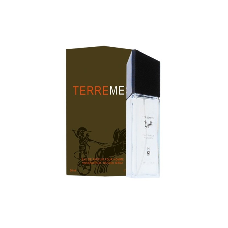 Parfum homme générique Terre d\'Hermès 50ml X1