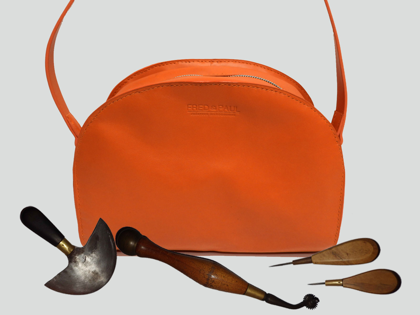 LABRADOR-VEAU-ORANGE-FACE