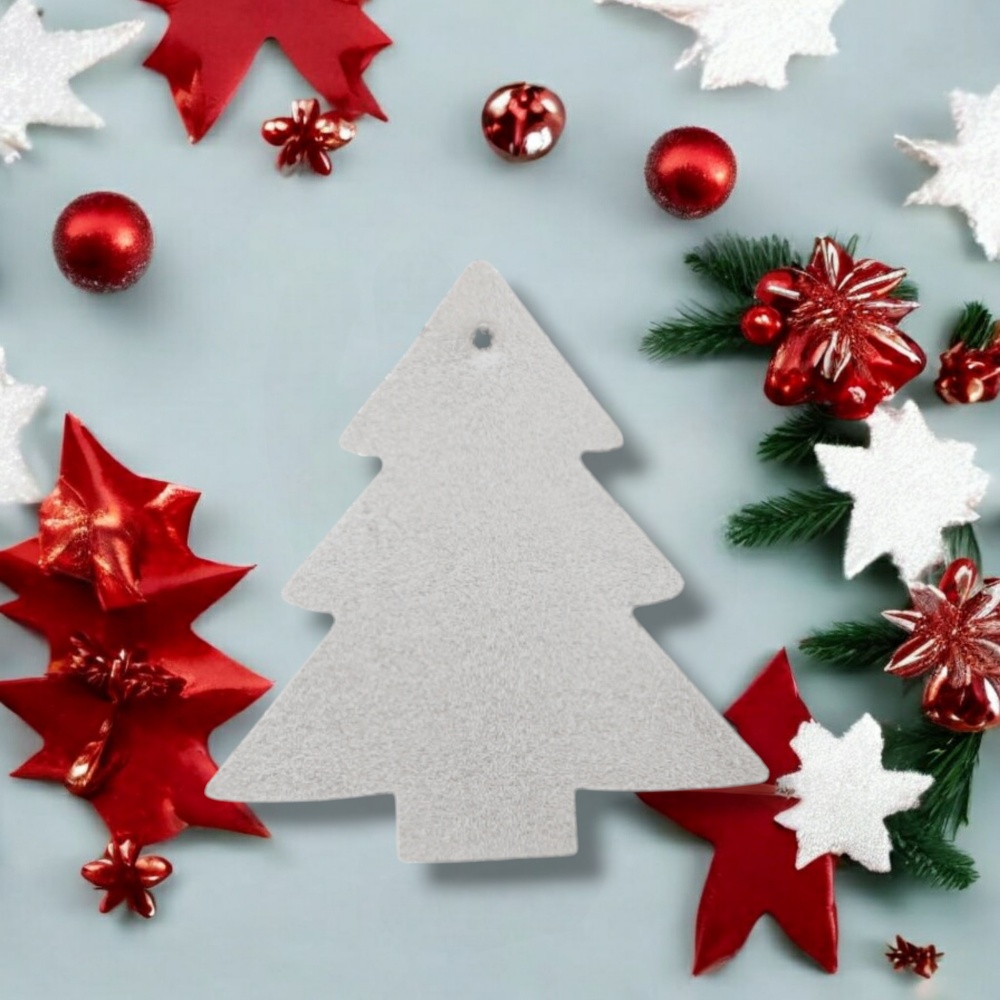 sapin-argent-1