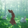 lapin-palissandre-1