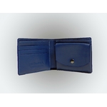 HONORIN-BLEUJEAN-OUVERT