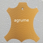 agrume