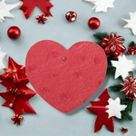 coeur-autruche-1