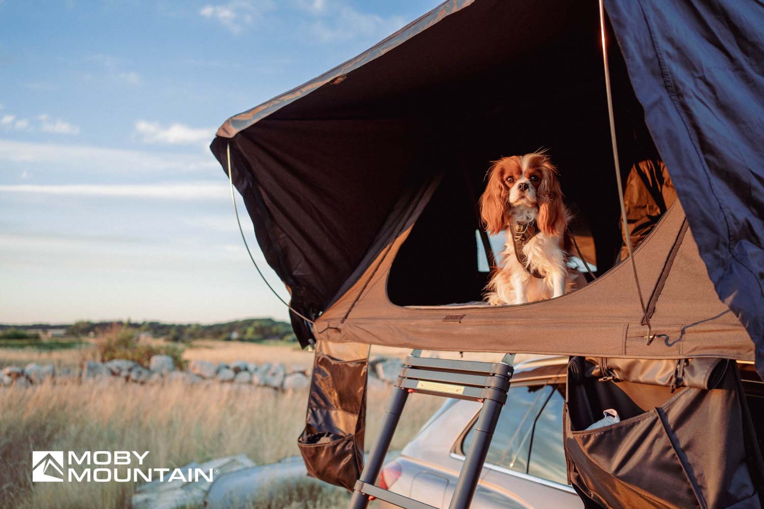 PEAK XXL I Horizontal I Moby Mountain roof top tents (9)