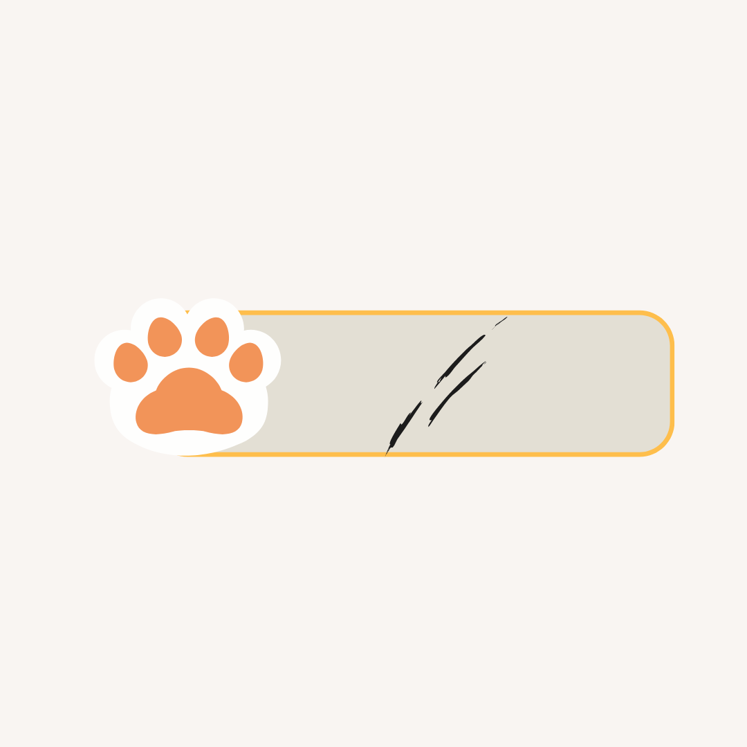 A3