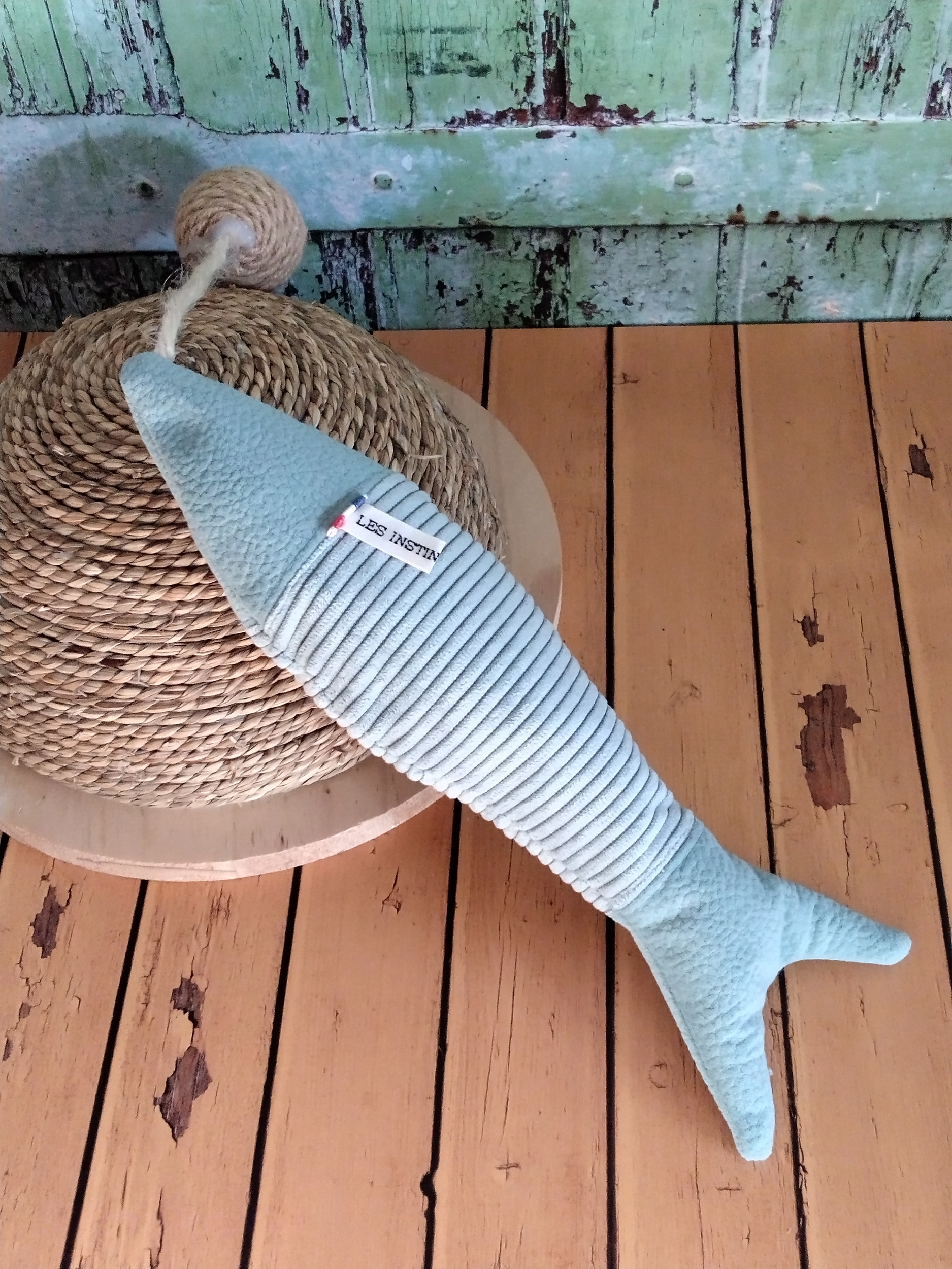Chardine Bleue
