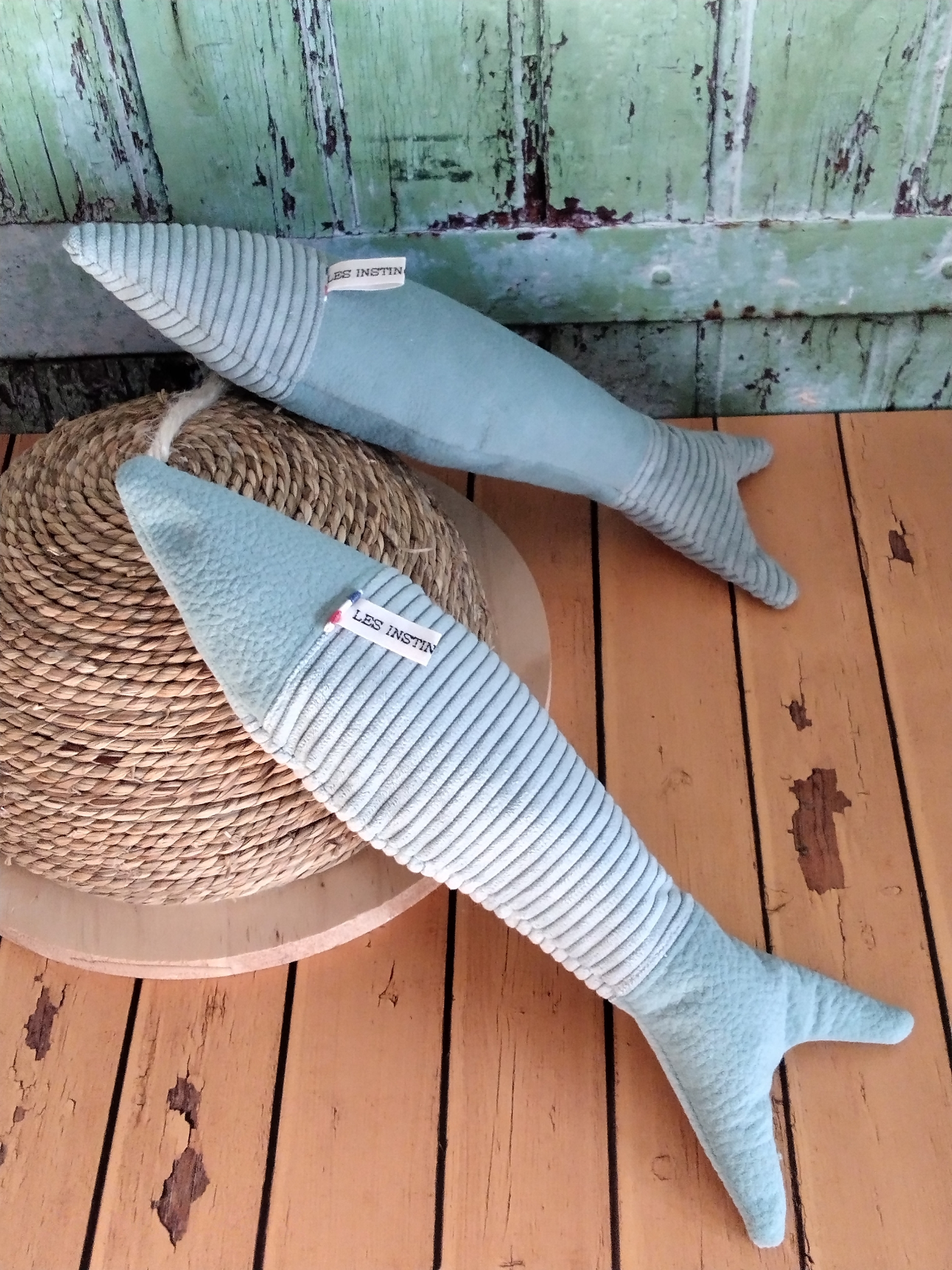 Chardine Bleue