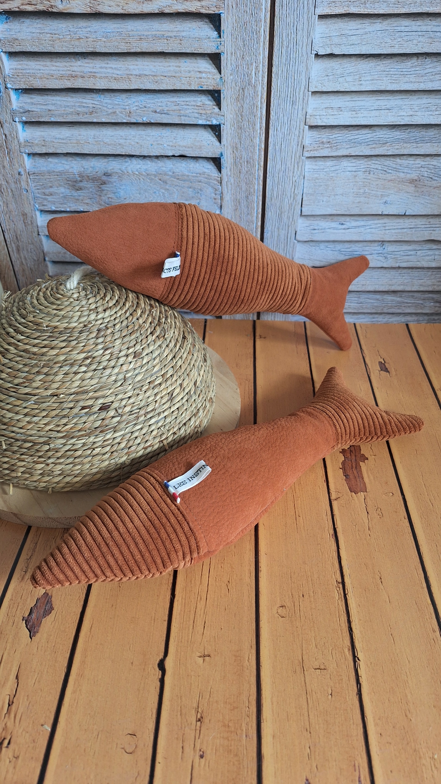 Ch ardine rouille 1