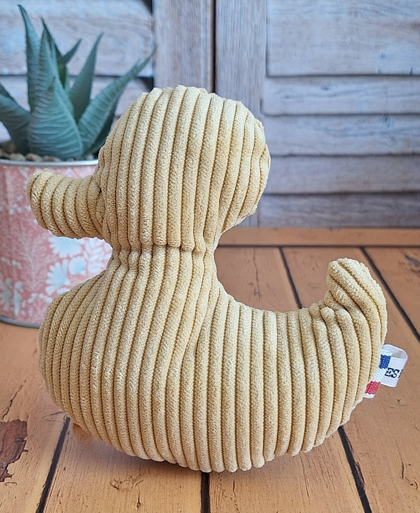 Ducky le canard