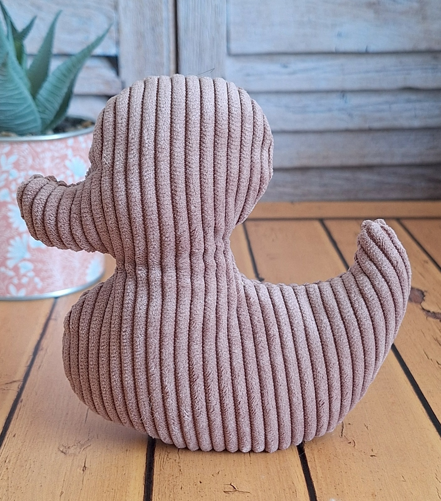 Ducky la canard 2