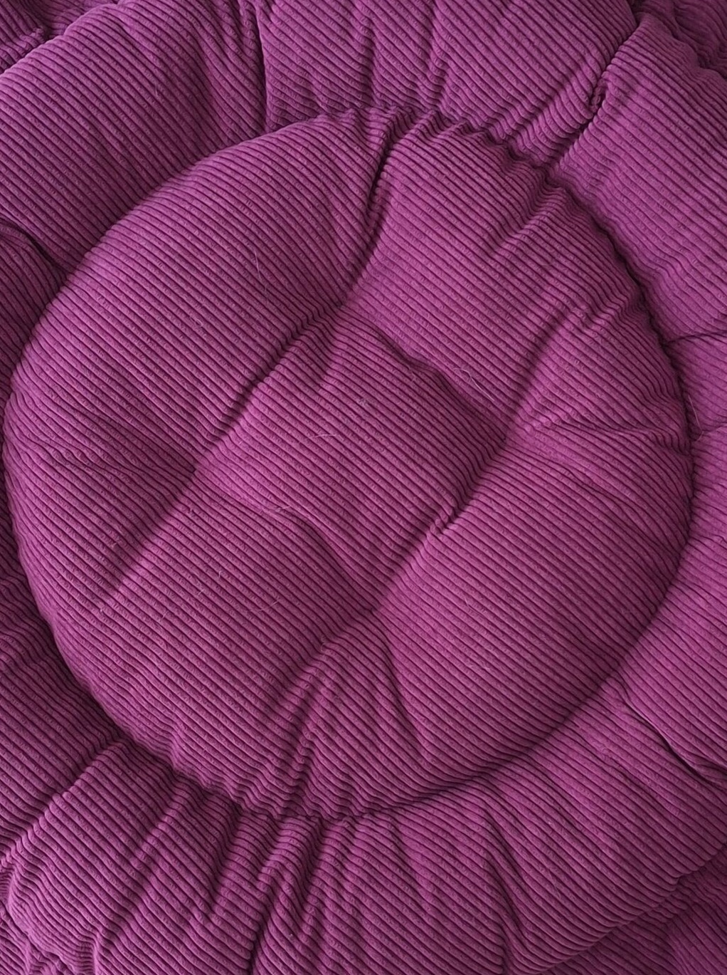Velours du couchage modulable pour chat La Bull XXL