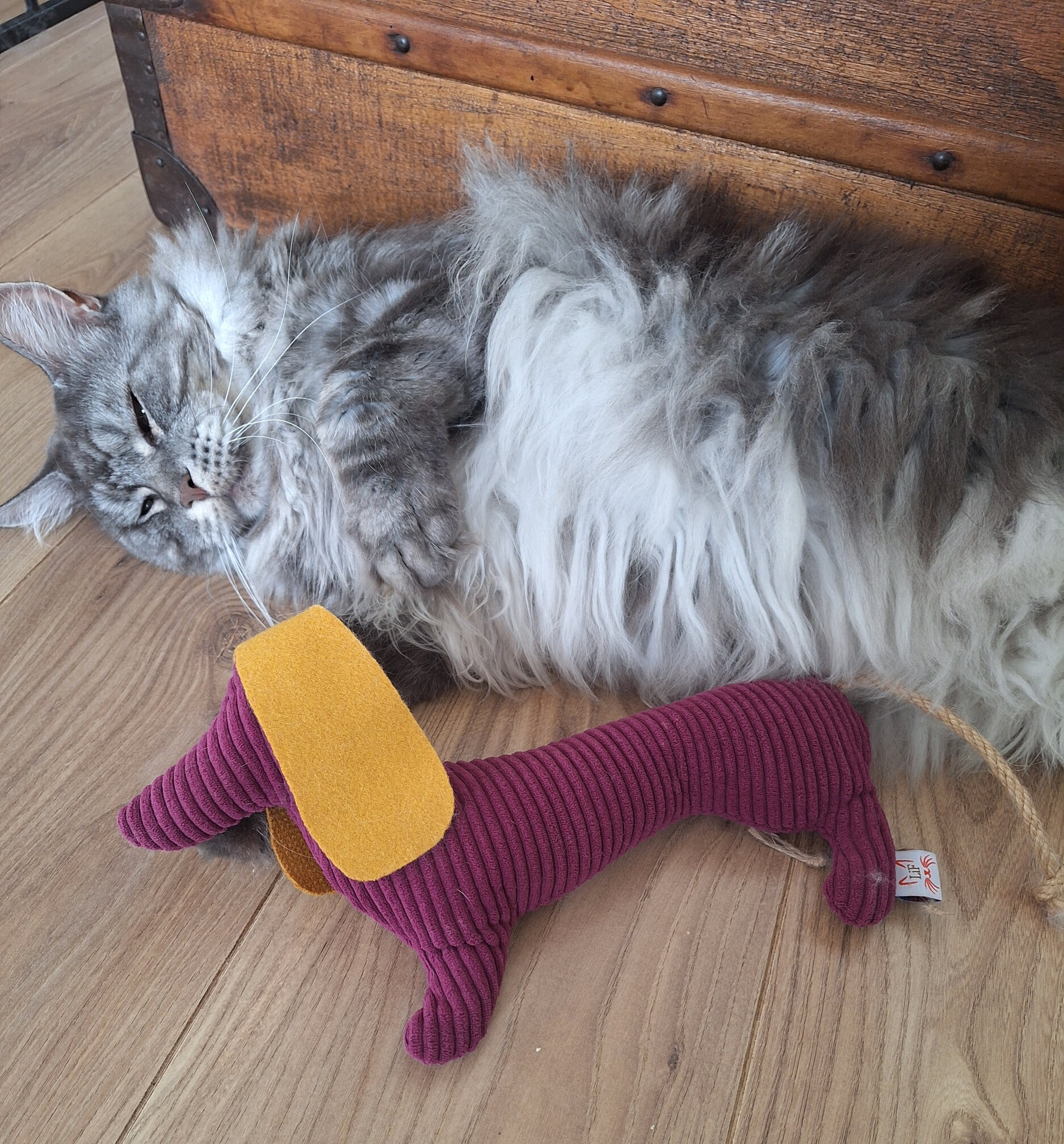 Diego et le chat 02