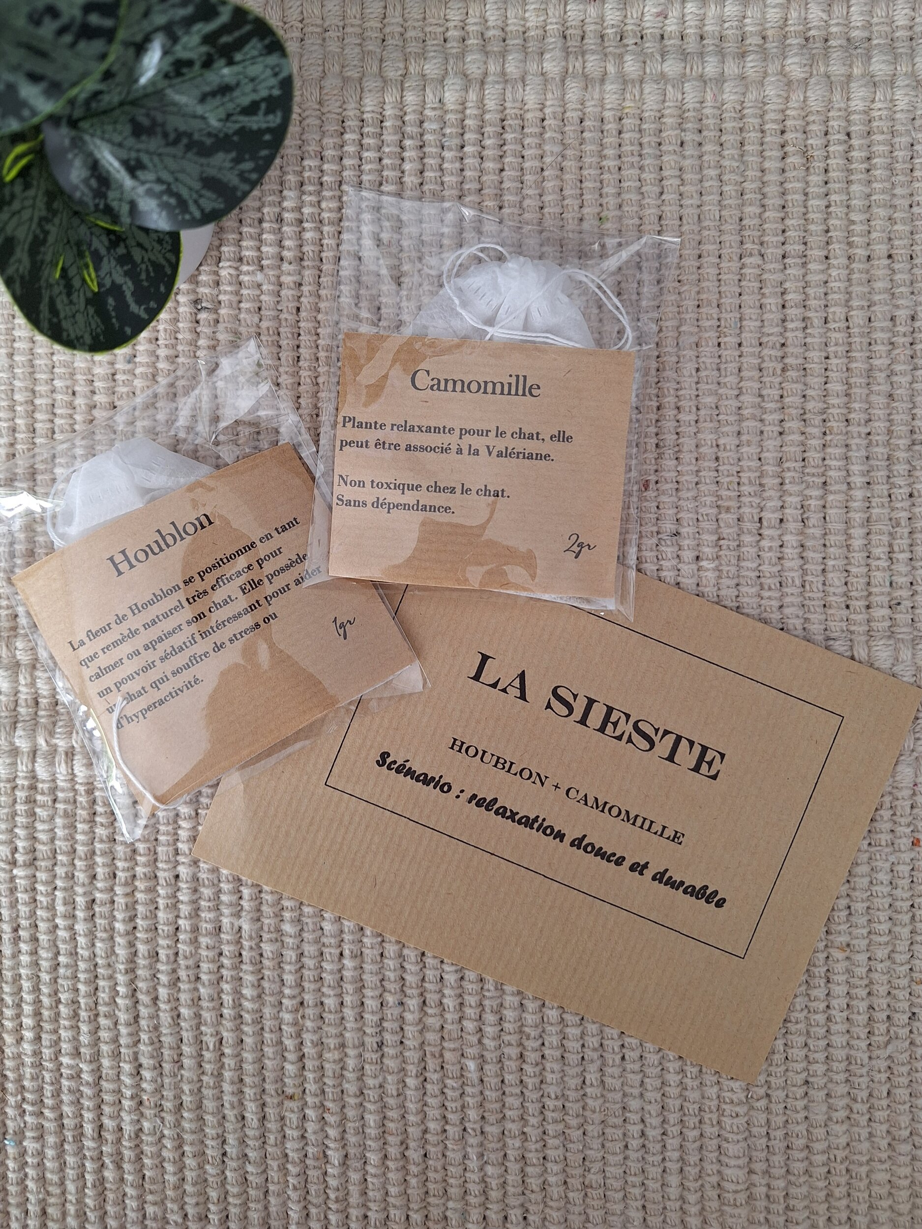 Herbes pour chat chasse