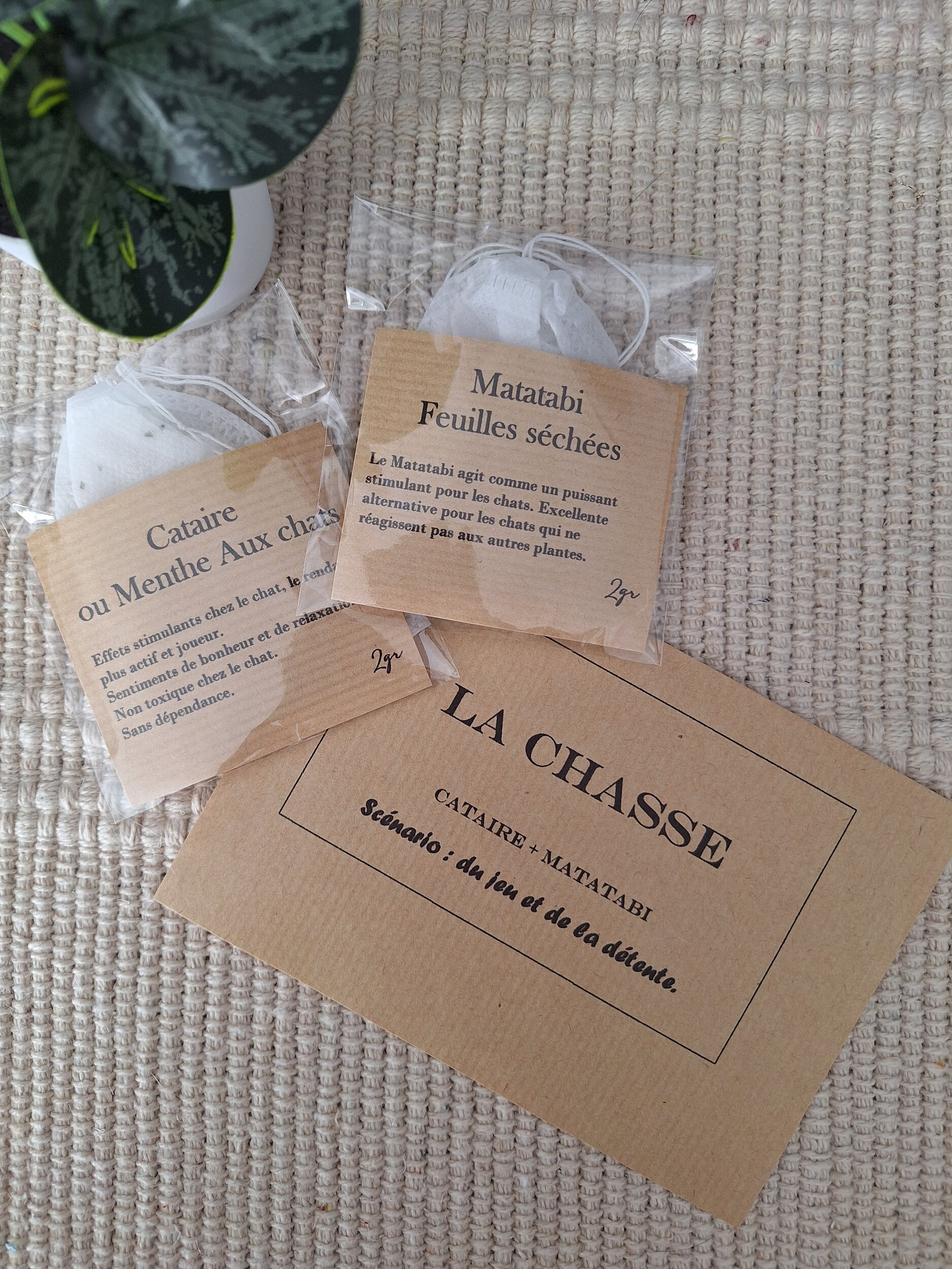 Herbes pour chat chasse