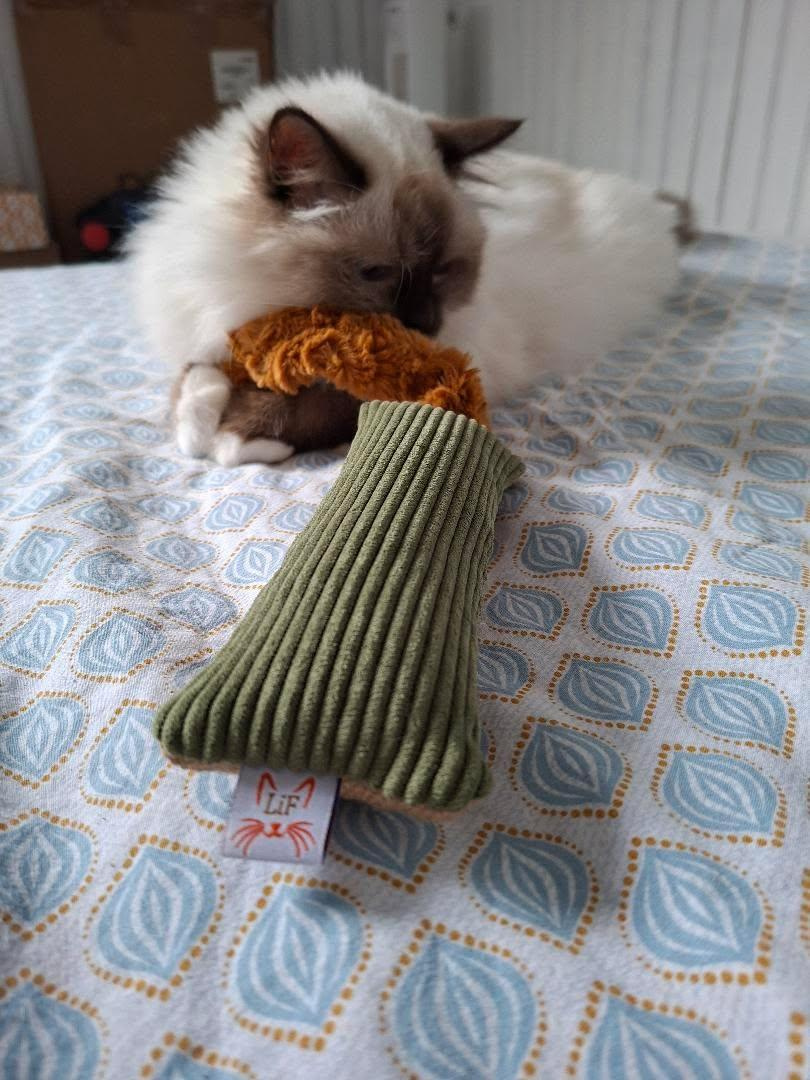 foxy-jouet-chat-a-agripper.jpg