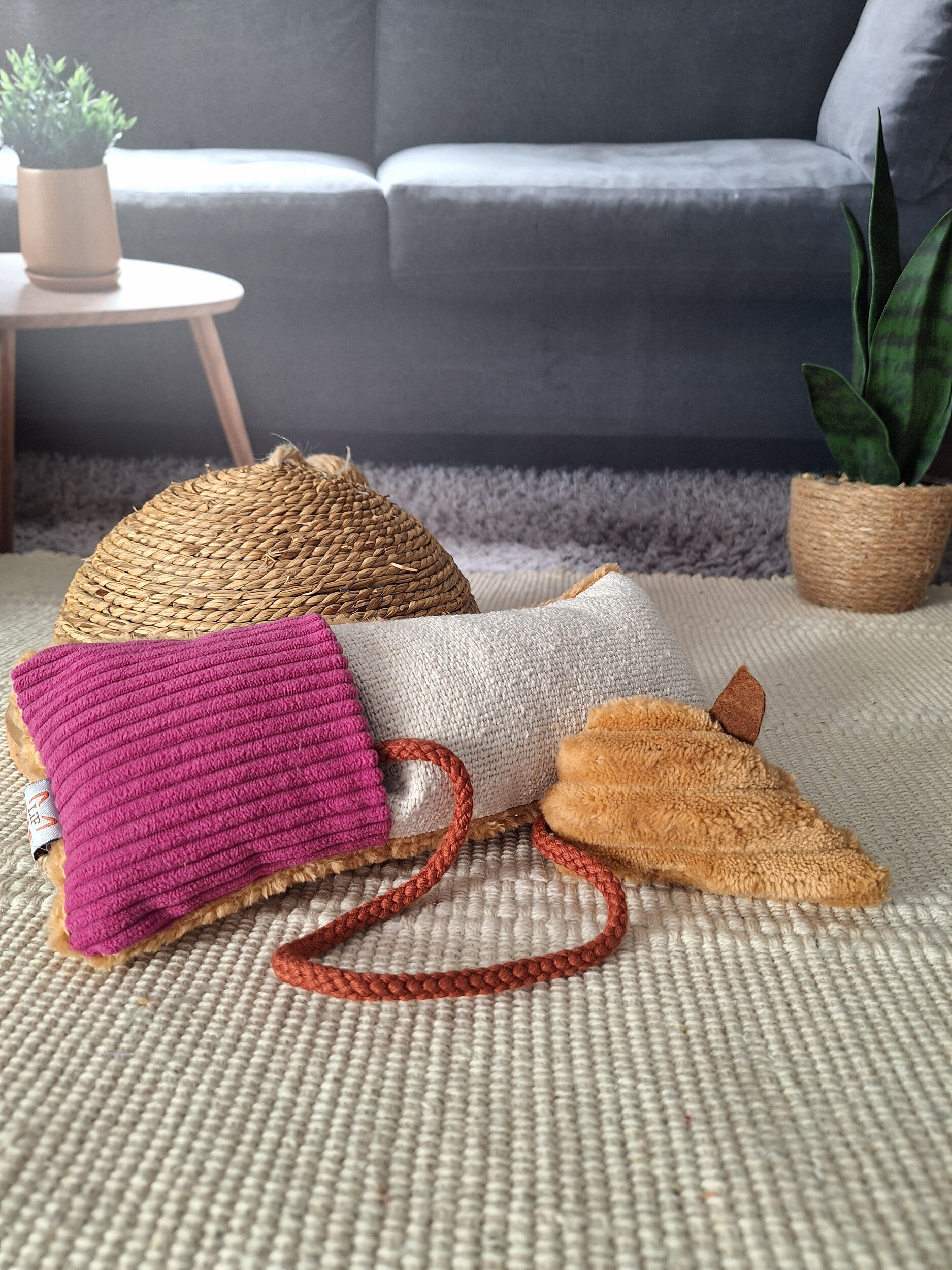 Cache cachet rose et sa souris jouet pour chat