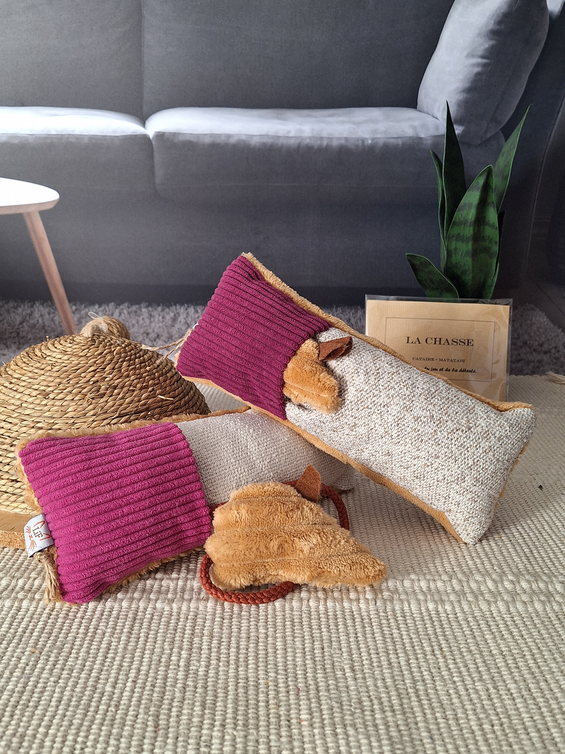 Cache cache duo rose défouloir pour chat