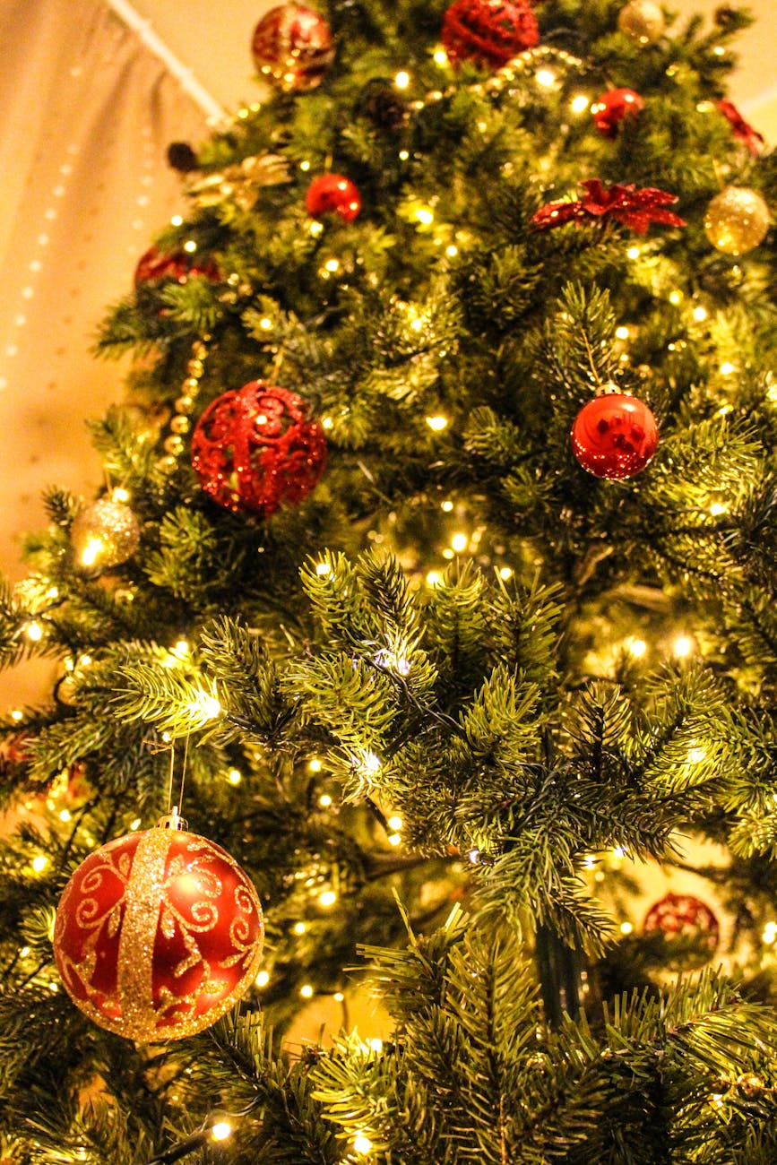 Boules Accrochées à L'arbre De Noël
