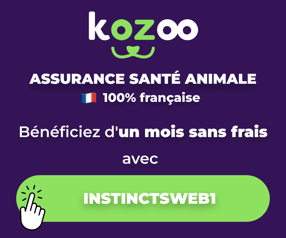 partenaires 300 x 250