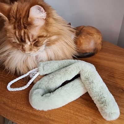 BOHA CHAT 2