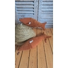 Ch ardine rouille 1