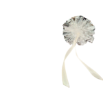 e47f5cbaa5c1acb0343d8b734868cc93