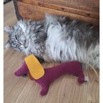 Diego et le chat 02