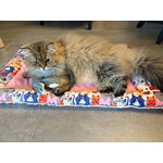 Lit plat rose avec chat