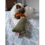 foxy-jouet-chat-a-agripper.jpg